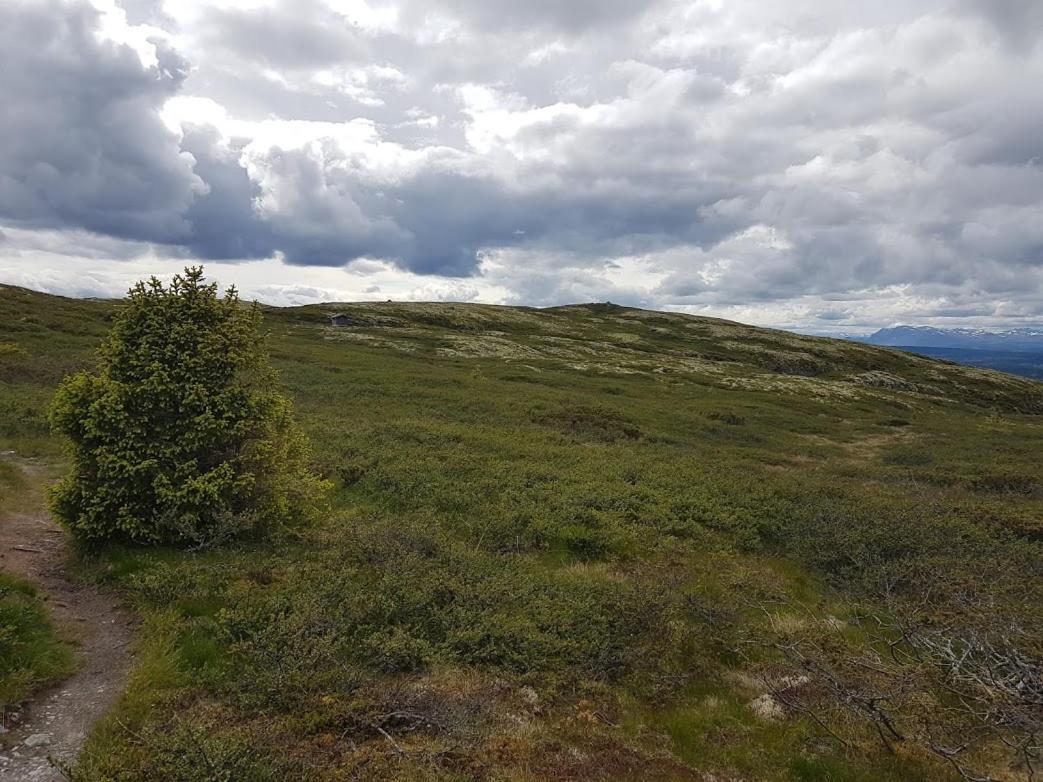Hos Blafjelldal, Bagn I Valdres Bed & Breakfast Luaran gambar