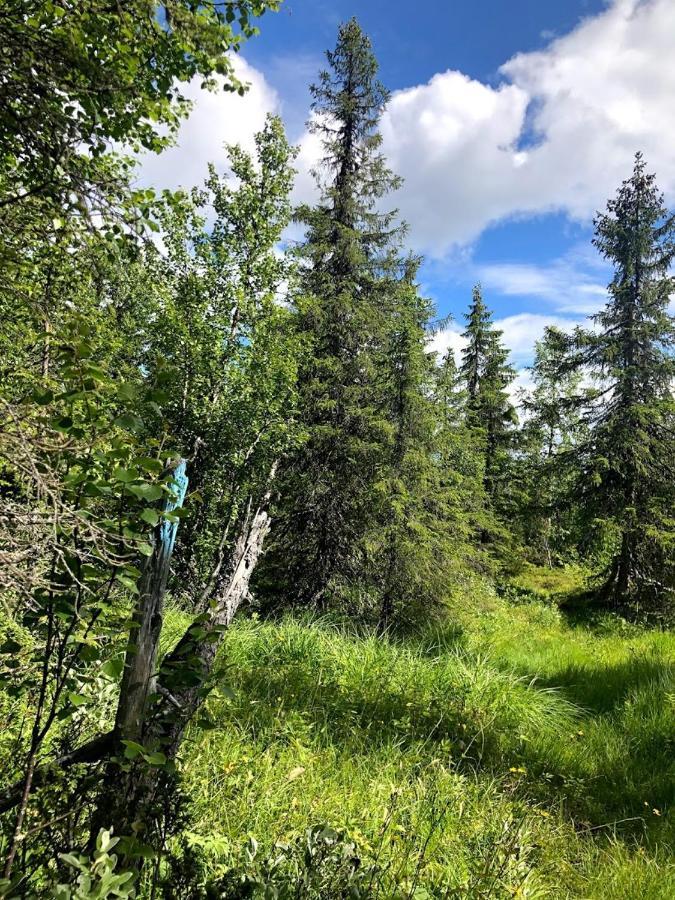 Hos Blafjelldal, Bagn I Valdres Bed & Breakfast Luaran gambar